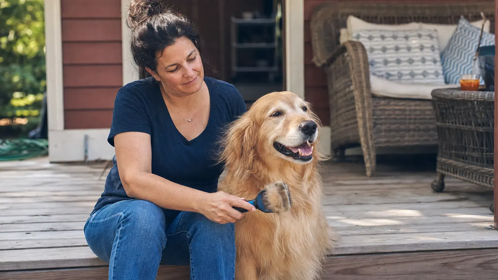 Woman brushing a golden retriever on a back porch, a pile of loose fur visible on the brush