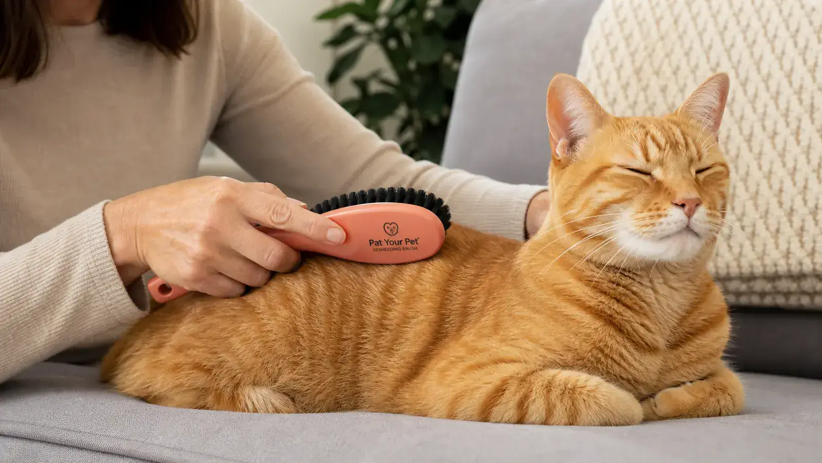 Person using the soft bristle side of the Pat Your Pet brush on a short-haired tabby cat who is lying on a couch looking content