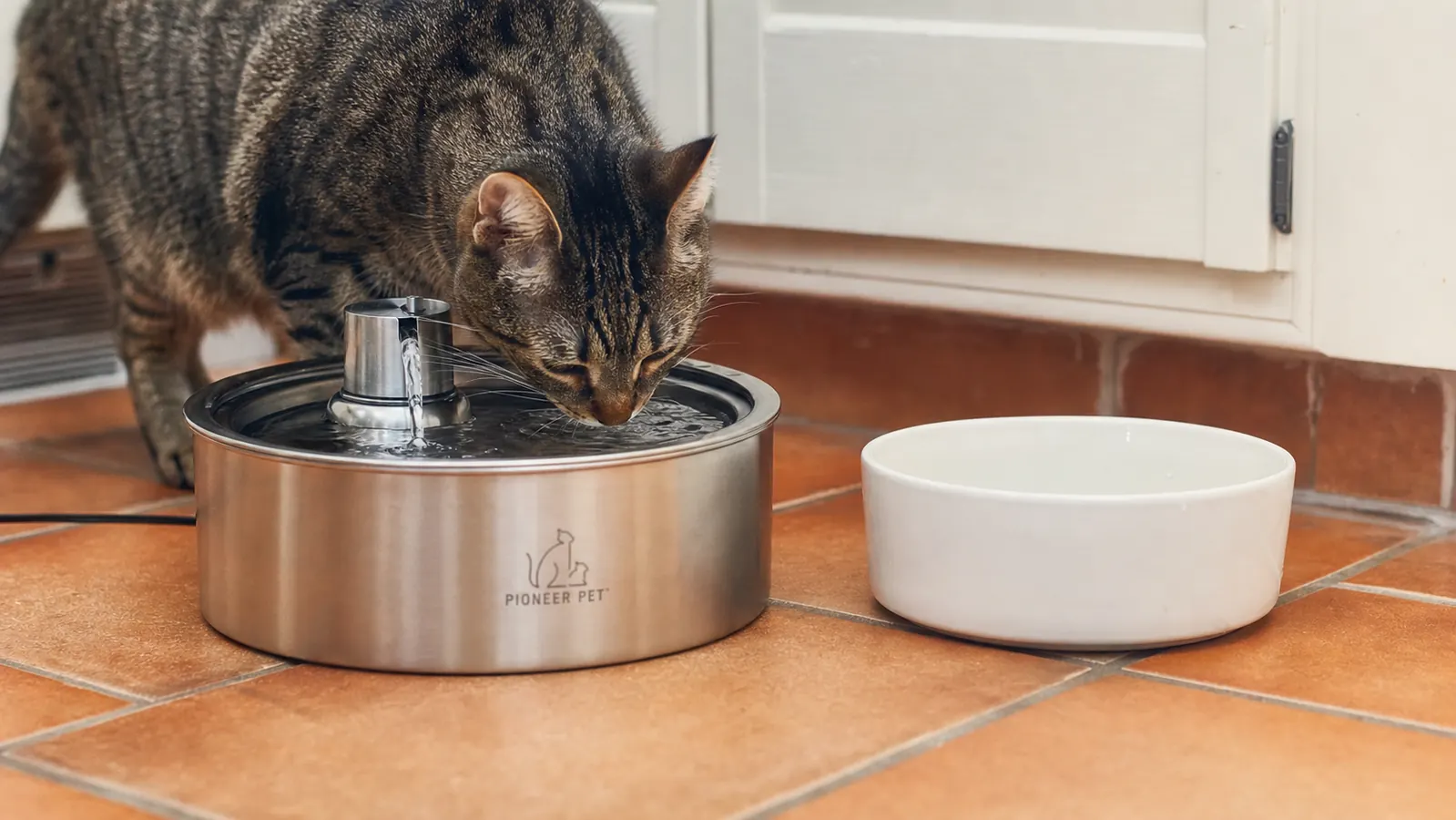 A stainless steel pet water fountain next to a ceramic water bowl on a kitchen floor, cat looking at the fountain