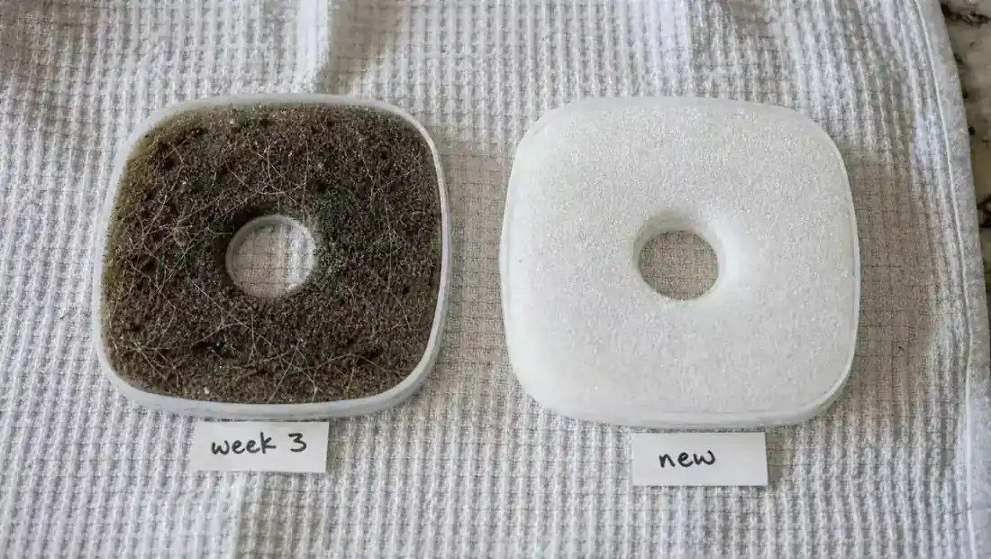 Side-by-side comparison of a dirty fountain filter and a clean replacement filter after three weeks